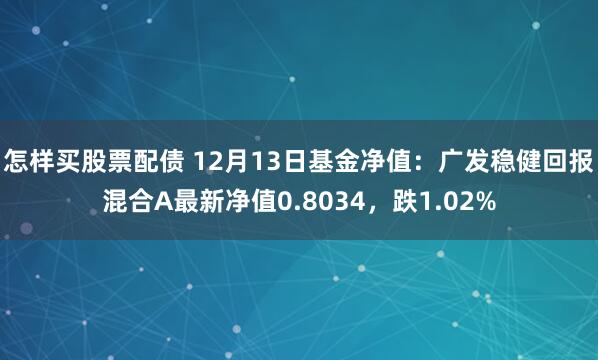 怎样买股票配债 12月13日基金净值：广发稳健回报混合A最新净值0.8034，跌1.02%