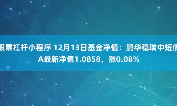 股票杠杆小程序 12月13日基金净值：鹏华稳瑞中短债A最新净值1.0858，涨0.08%