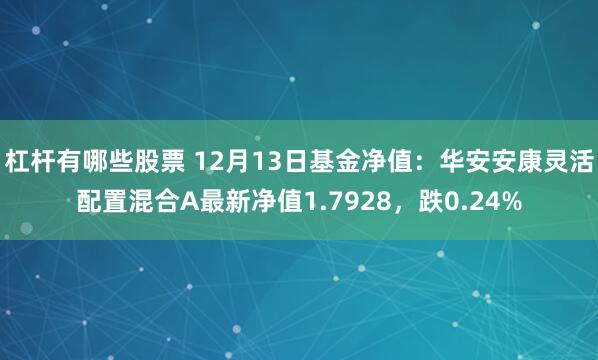 杠杆有哪些股票 12月13日基金净值：华安安康灵活配置混合A最新净值1.7928，跌0.24%