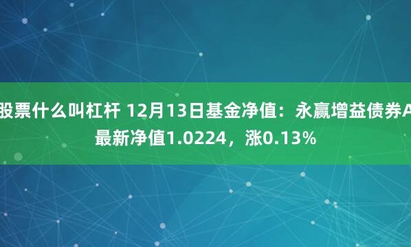 股票什么叫杠杆 12月13日基金净值：永赢增益债券A最新净值1.0224，涨0.13%