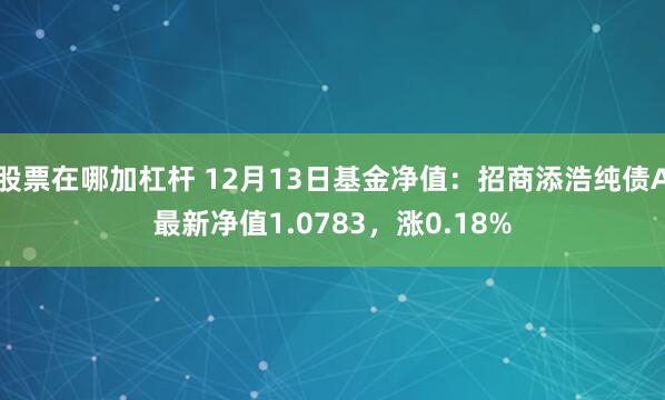 股票在哪加杠杆 12月13日基金净值：招商添浩纯债A最新净值1.0783，涨0.18%