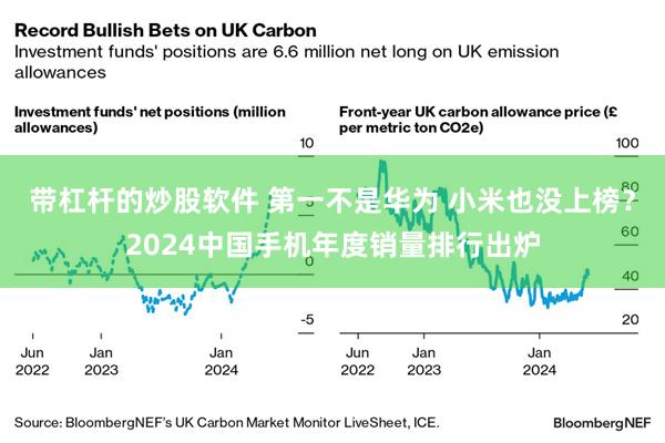 带杠杆的炒股软件 第一不是华为 小米也没上榜？2024中国手机年度销量排行出炉