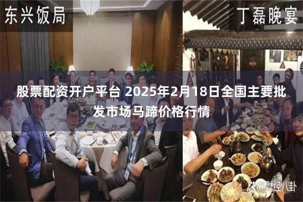 股票配资开户平台 2025年2月18日全国主要批发市场马蹄价格行情