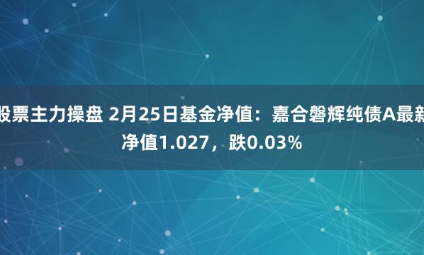 股票主力操盘 2月25日基金净值：嘉合磐辉纯债A最新净值1.027，跌0.03%