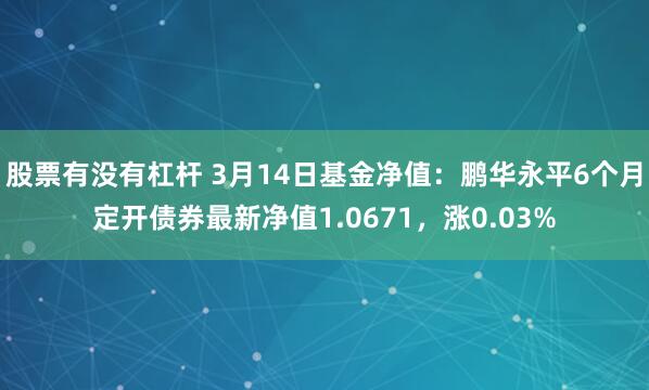 股票有没有杠杆 3月14日基金净值：鹏华永平6个月定开债券最新净值1.0671，涨0.03%